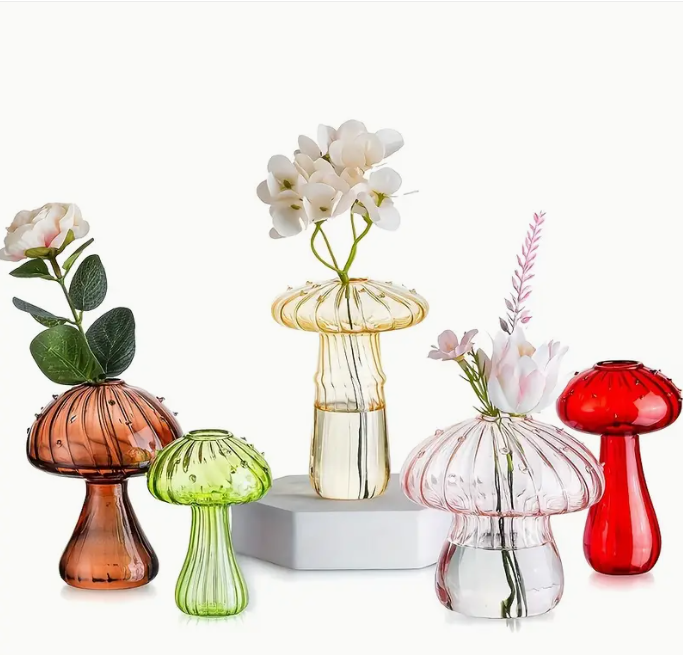Set mini hongos x5