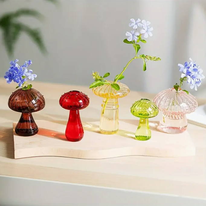 Set mini hongos x5