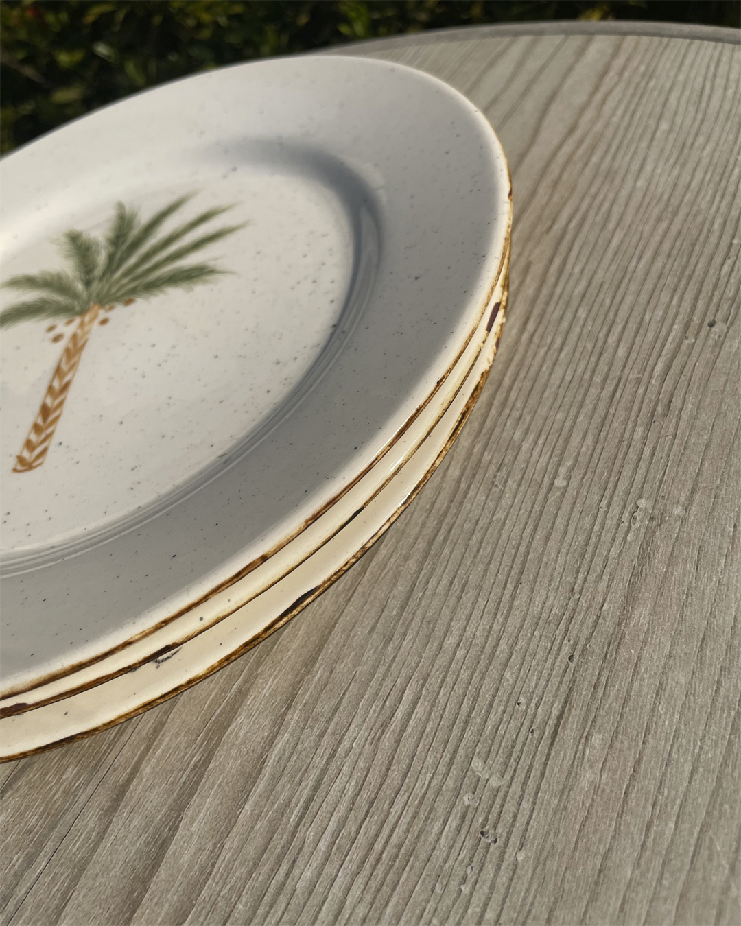 Plato principal Palmera