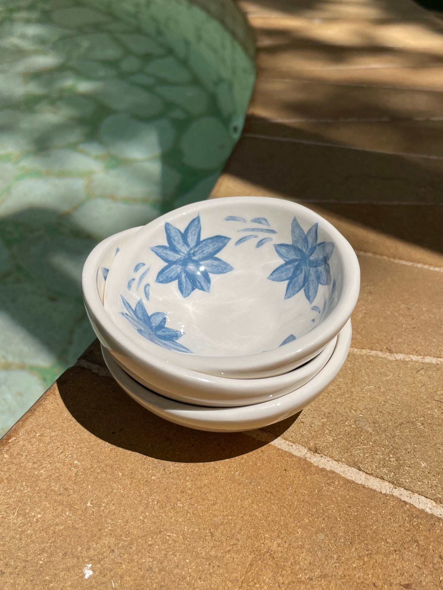 Salsero floral